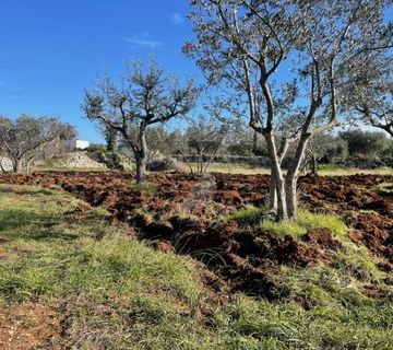 PRODAJA, ZEMLJIŠTE S RUŠEVINOM, FAŽANA, 1200 M2 - cover